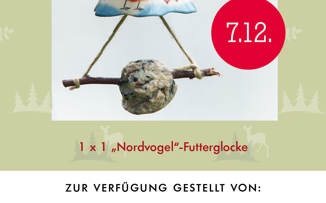 07. Dezember 2025